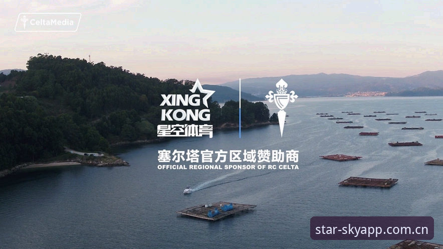 星空体育平台年度版AAZ3呼号深度评测：海外华人安装避坑全指南